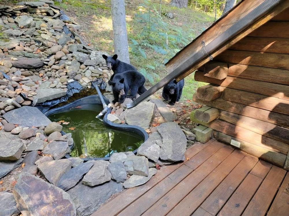 Very Private, Real Log Cabin With Hot Tub! Sevierville Luaran gambar